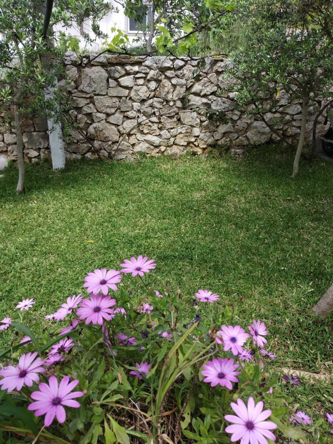 Altin skrapari guesthouse Ksamil Exteriör bild