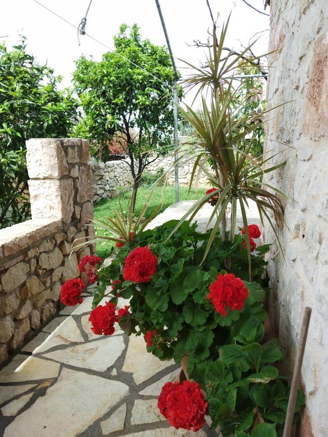 Altin skrapari guesthouse Ksamil Exteriör bild